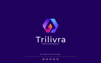 Gradient Modern Hexagon Logo Design 874