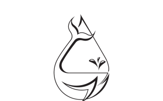 Whale Logo Template Style Outline