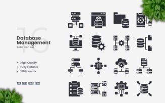 16 Database Management Solid Icons Set