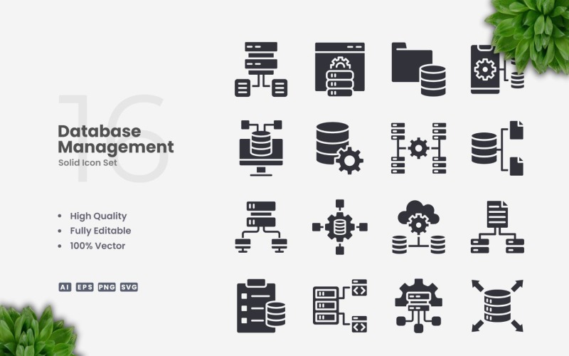 16 Database Management Solid Icons Set Icon Set