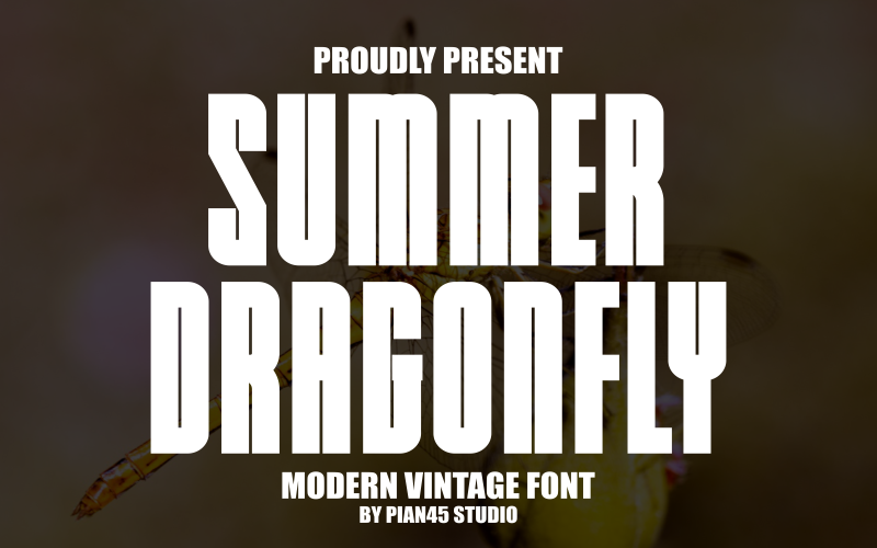 Summer Dragonfly - Modern Vintage Font