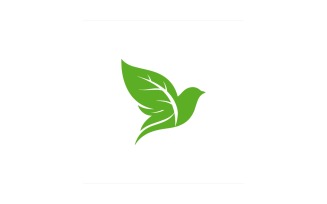 Green leaf bird logo isolated on white background
