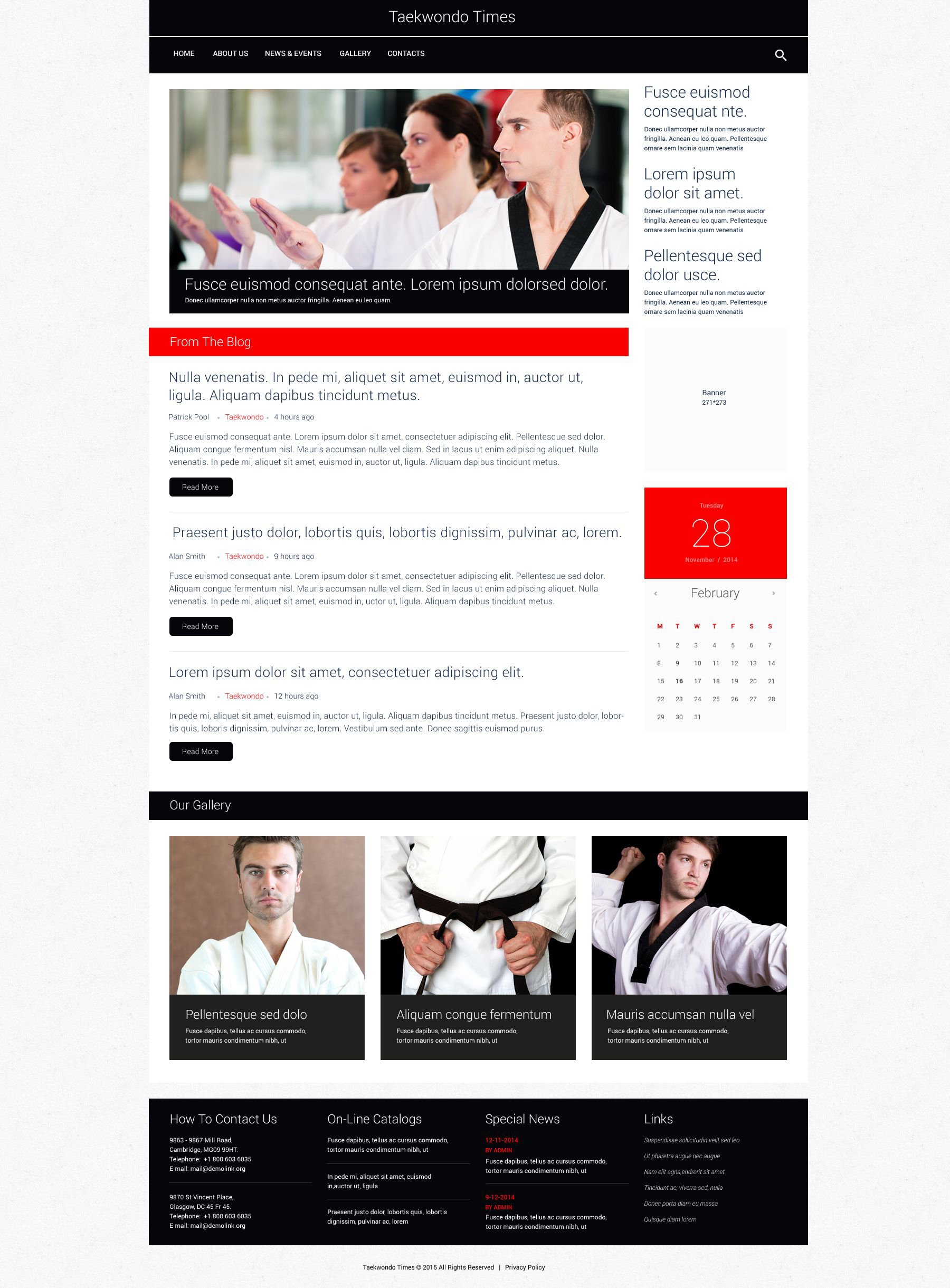 Martial Arts Website Design Templates