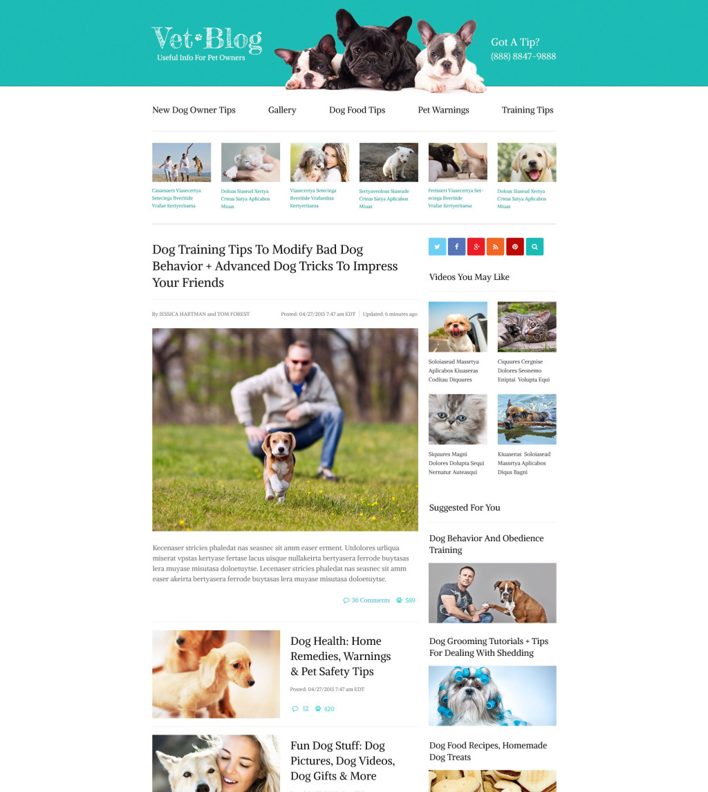 Live preview for Veterinarian Blog site Template 55156