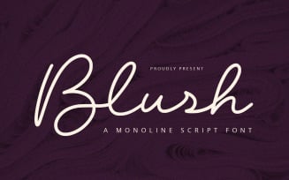 Blush - Monoline Script Font