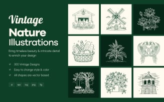 Vintage Nature Illustrations Bundle