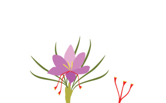 Saffron Flower Web Template Design