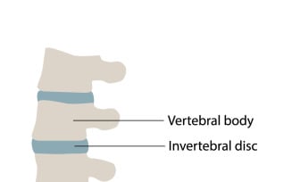 Modern Spine Care Chiropractic Physiotherapy Osteopathy Icon