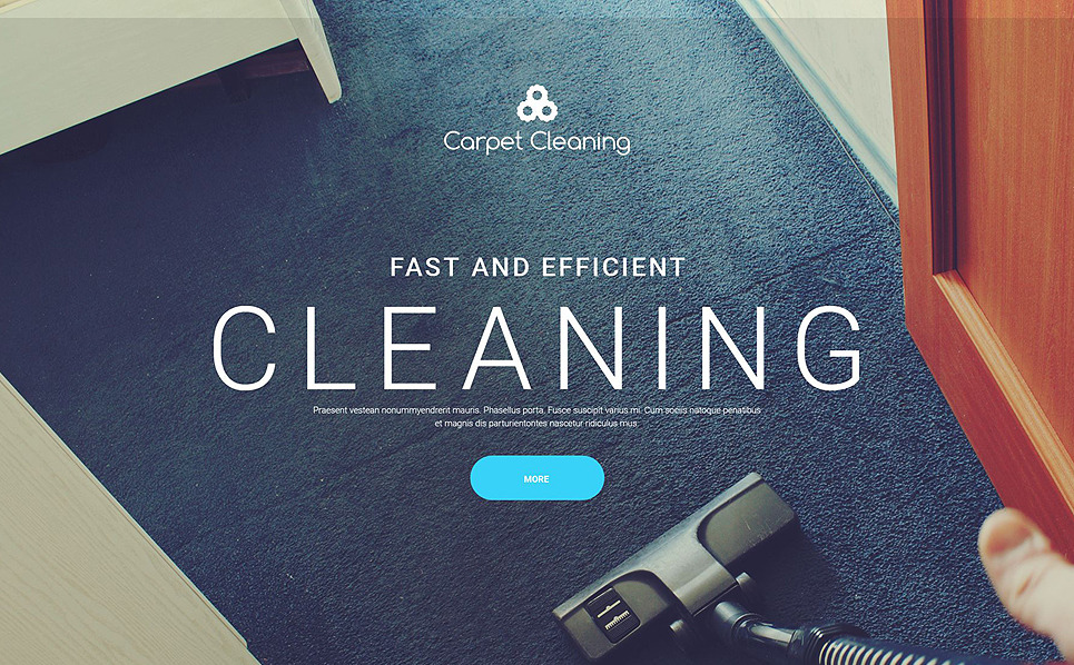 Cleaning Website Template