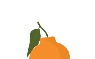 Fresh Tangerine Mandarin Fruits Vector