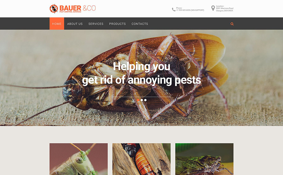 Pest Control Responsive Website Template #55359