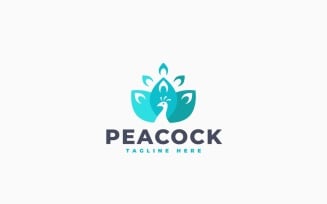 Peacock 3 Logo Template Design