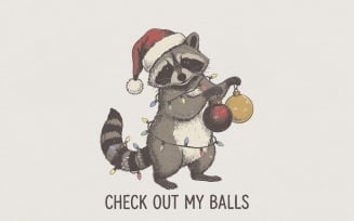 Check Out My Balls PNG, Funny Christmas Raccoon, Holiday Lights Shirt, Digital Download, Cute