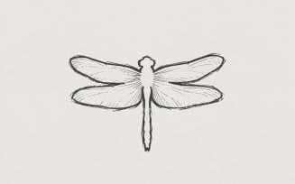 Dragonfly PNG Line Art, Minimalist Insect Digital Design, Nature Outline Download, Modern Printable