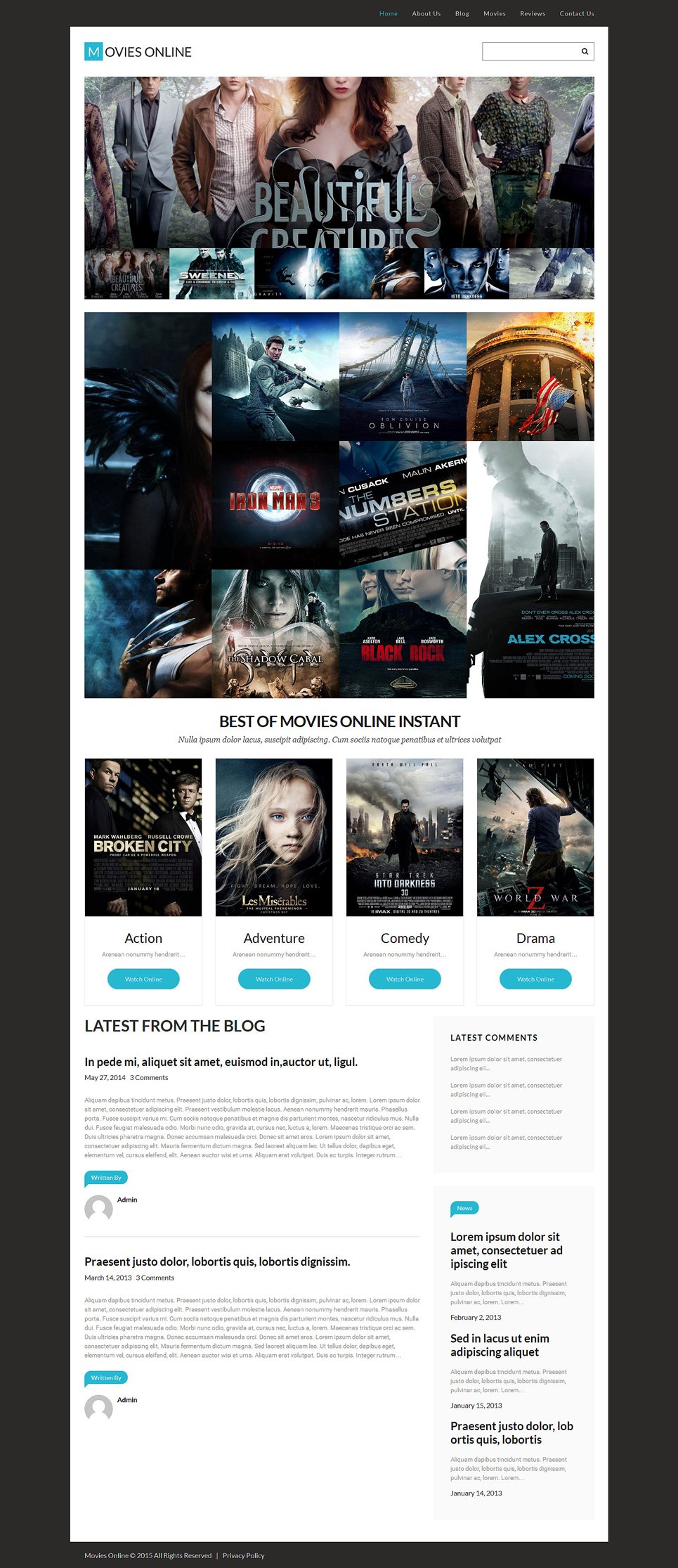 Movie Responsive WordPress Theme New Screenshots BIG