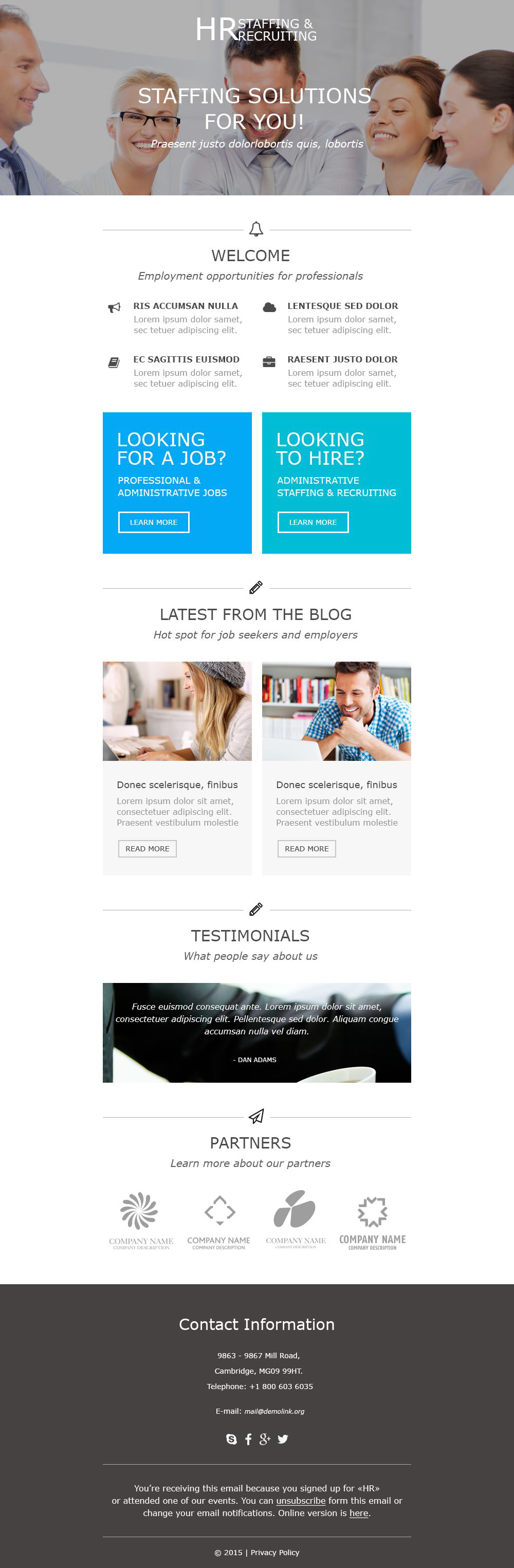 Responsive Nieuwsbrief Template over Adviesbureau №55484 - screenshot