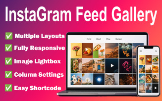 InstaGram Feed Gallery Wordpress plugin