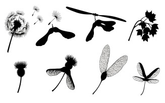 Black vector silhouettes and line art of diverse plant seeds:, isolated on white background