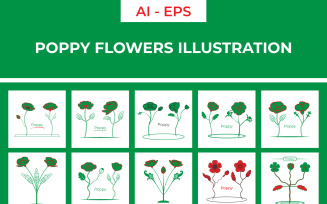 Stylized Poppy Flowers Illustration
