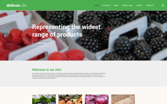 Silvio Website Template