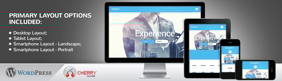 Business Expert