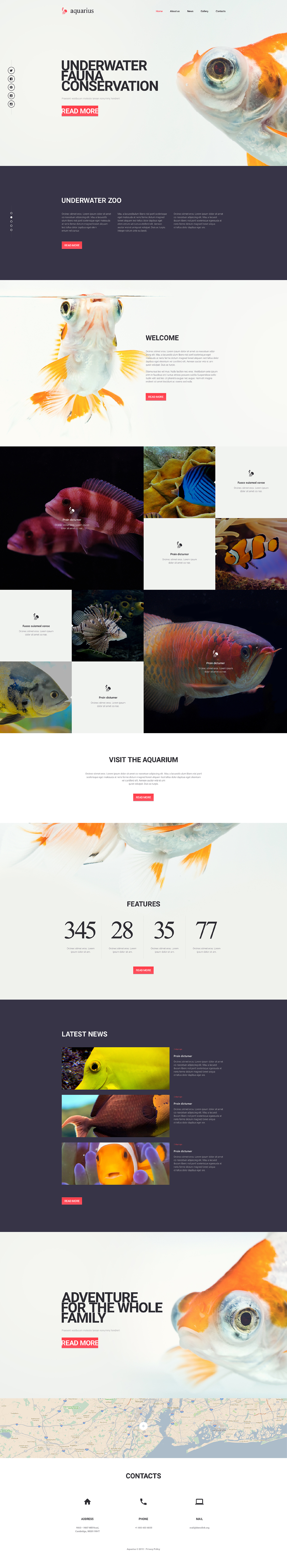 Aquarius Website Template New Screenshots BIG
