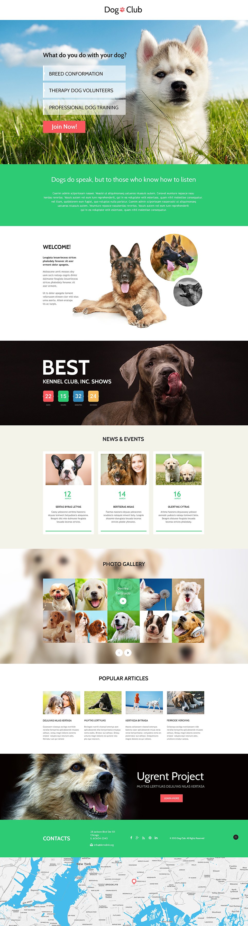 Dog Responsive Landing Page Template New Screenshots BIG