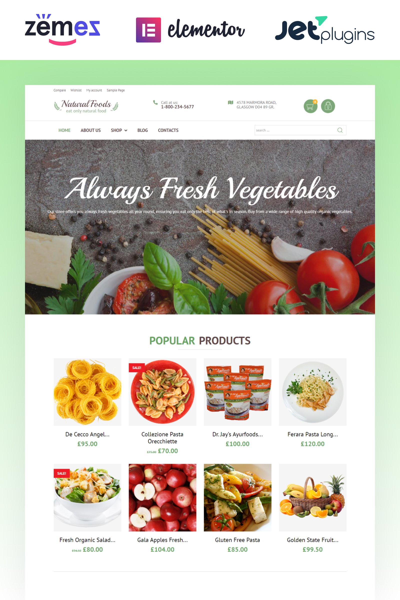 Template WooCommerce Responsive #55738 "Natural Foods - Organic Food Template for Online Stores" - screenshot