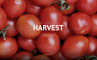 Harvest PSD Template