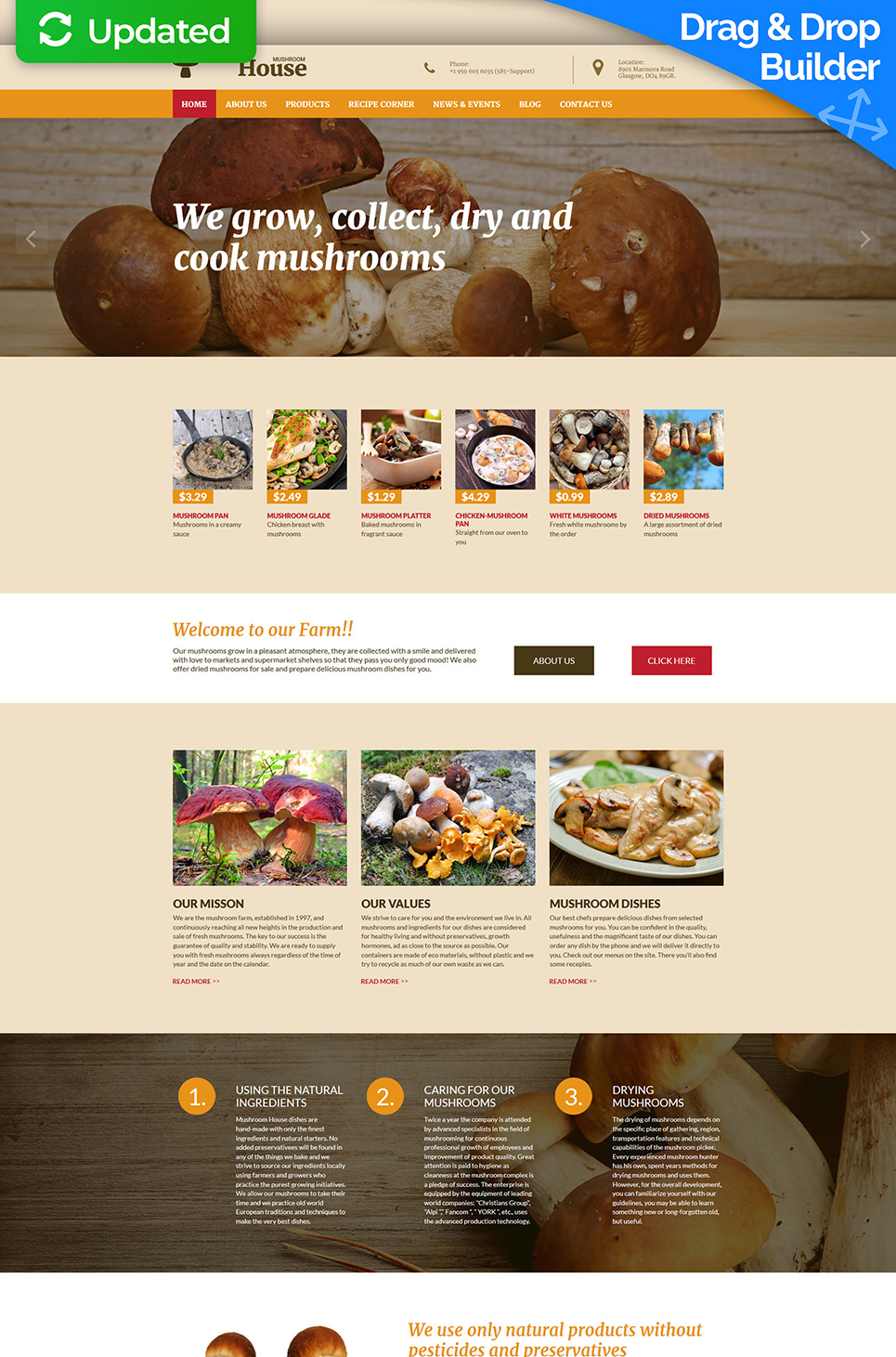 Mushroom Farm Moto CMS 3 Template New Screenshots BIG