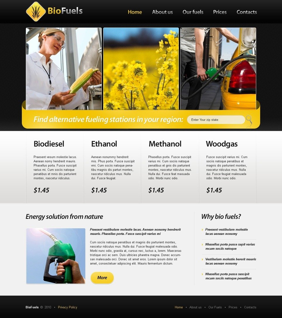 Biofuel PSD Template New Screenshots BIG