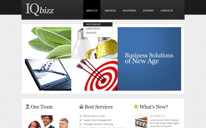 Consulting PSD Template