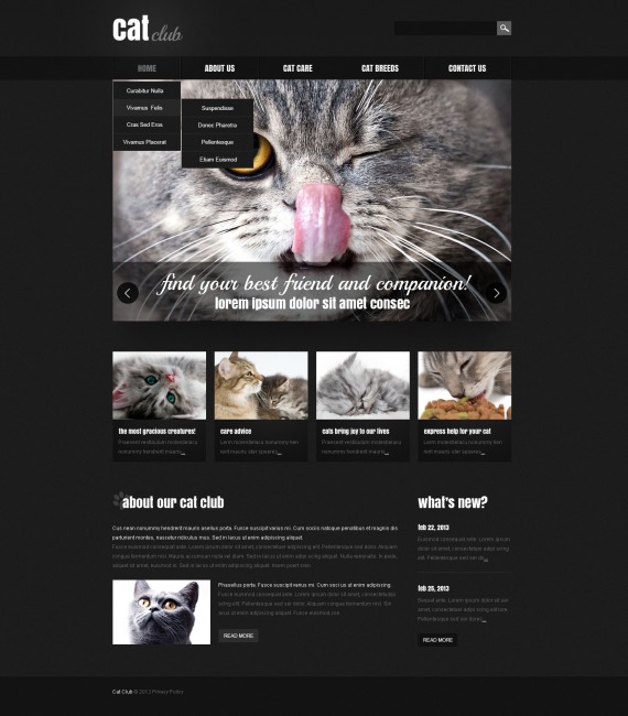 Tutorial Website Cat Cat Responsive Website Template #44278