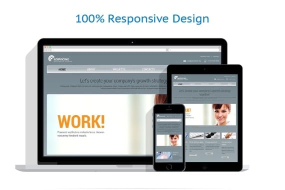 Management Company Responsive Website Template #44202
