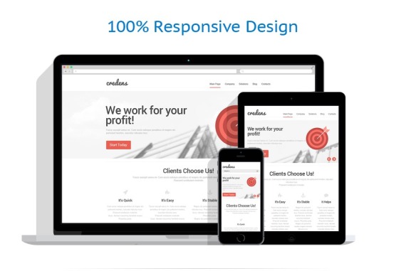 Financial Advisor Responsive Website Template #46542