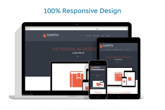 Software Company Responsive Website Template #48906