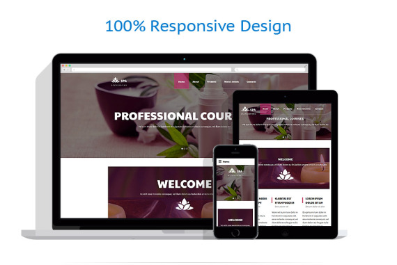 Spa Accessories Responsive Website Template #58076