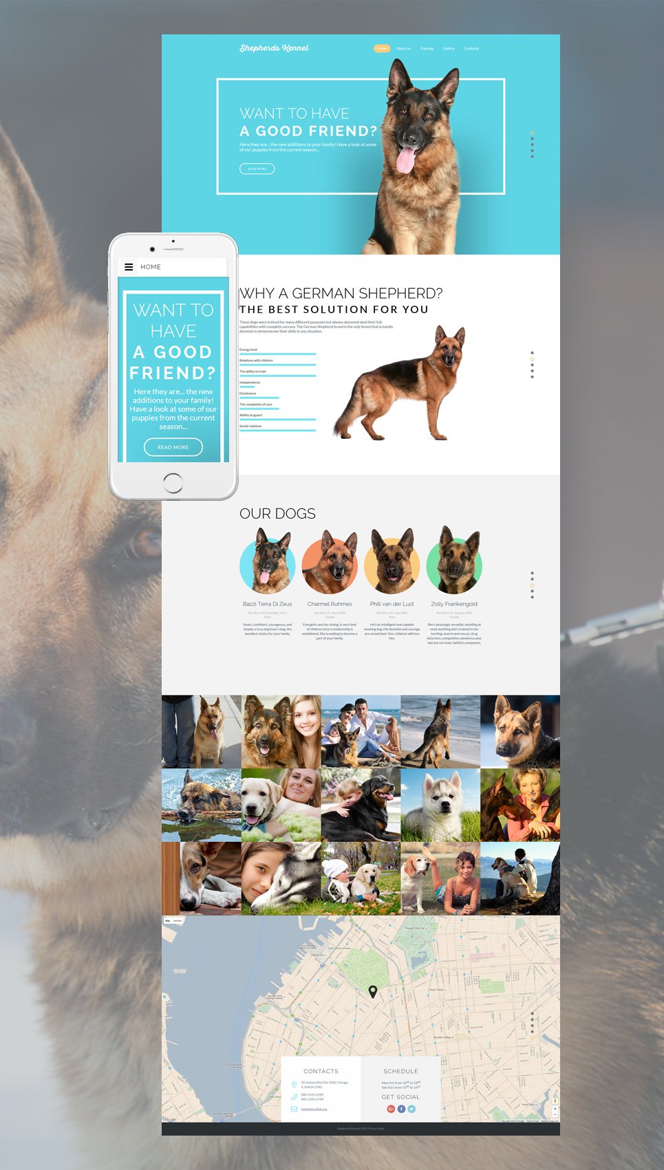 Dog Responsive Website Template New Screenshots BIG