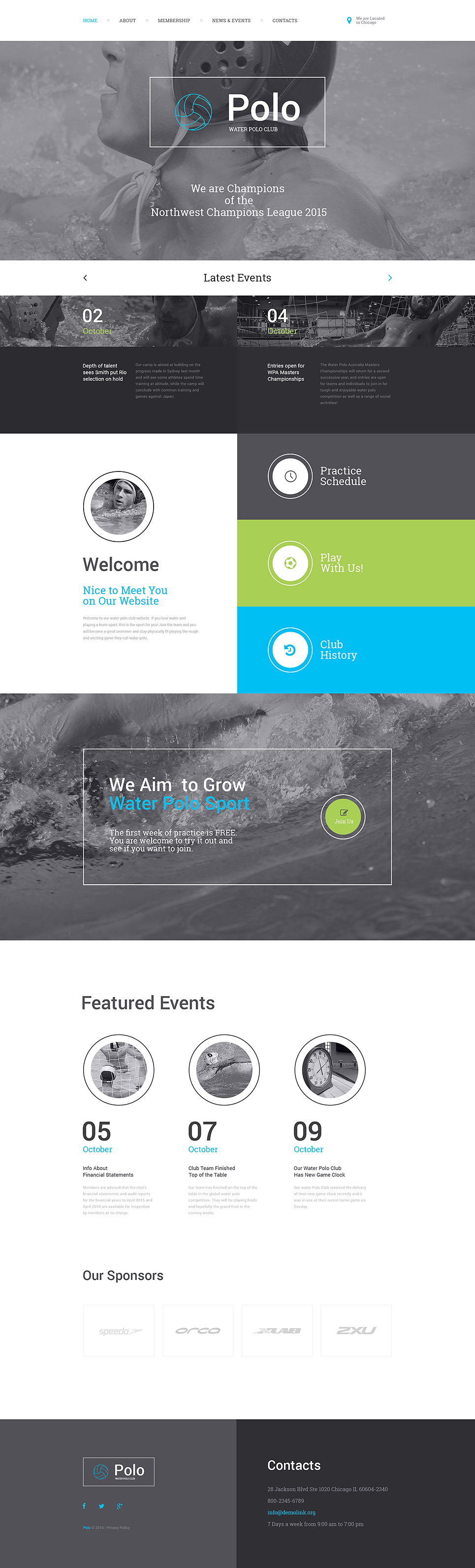 Polo Website Template New Screenshots BIG