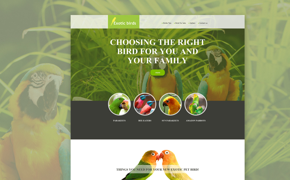 Birds Muse Template New Screenshots BIG