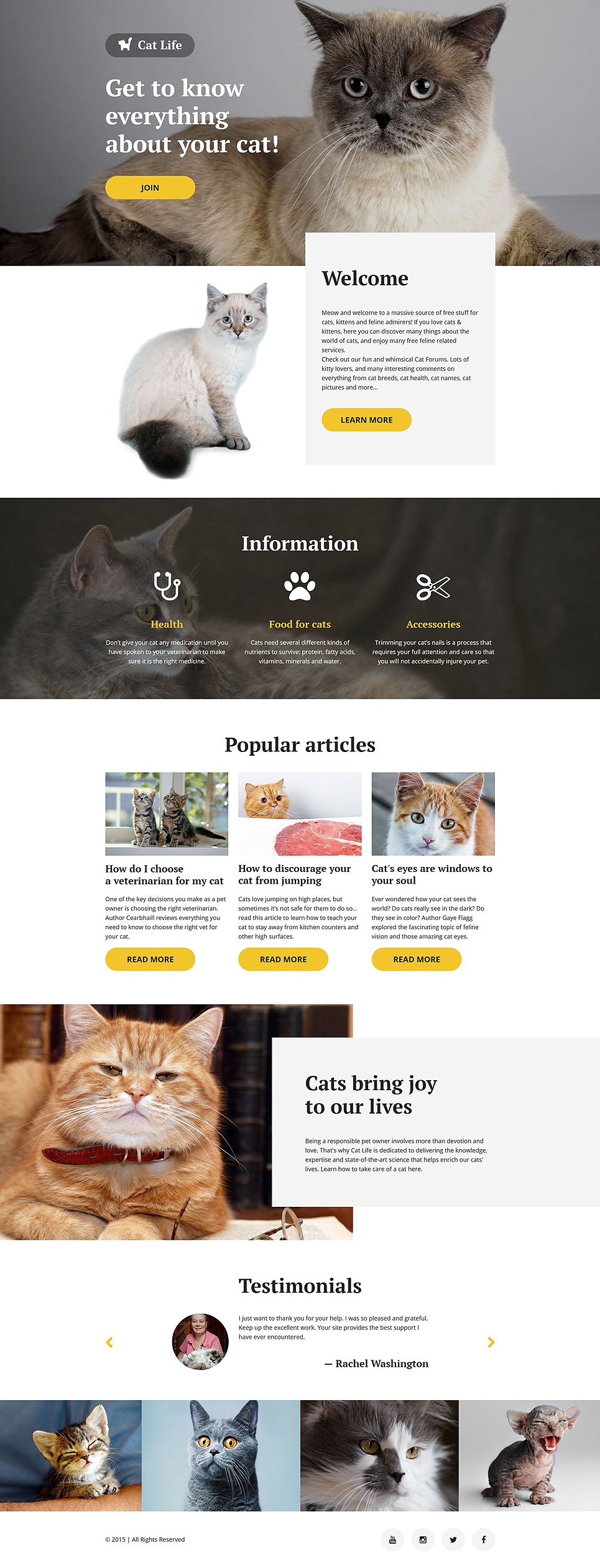 Cat Responsive Landing Page Template New Screenshots BIG