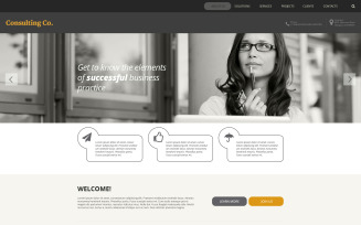 Consulting Responsive Website Template