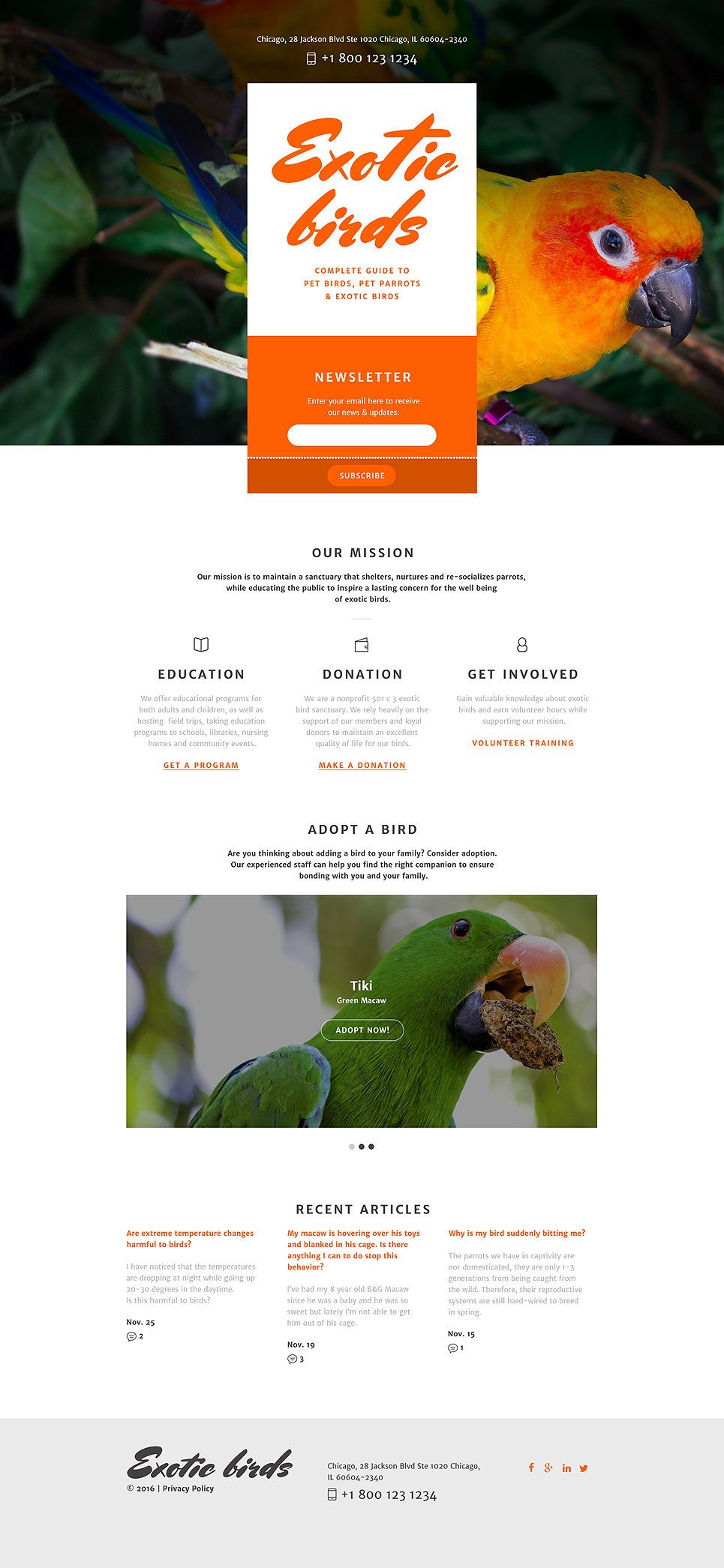 Birds Responsive Landing Page Template New Screenshots BIG