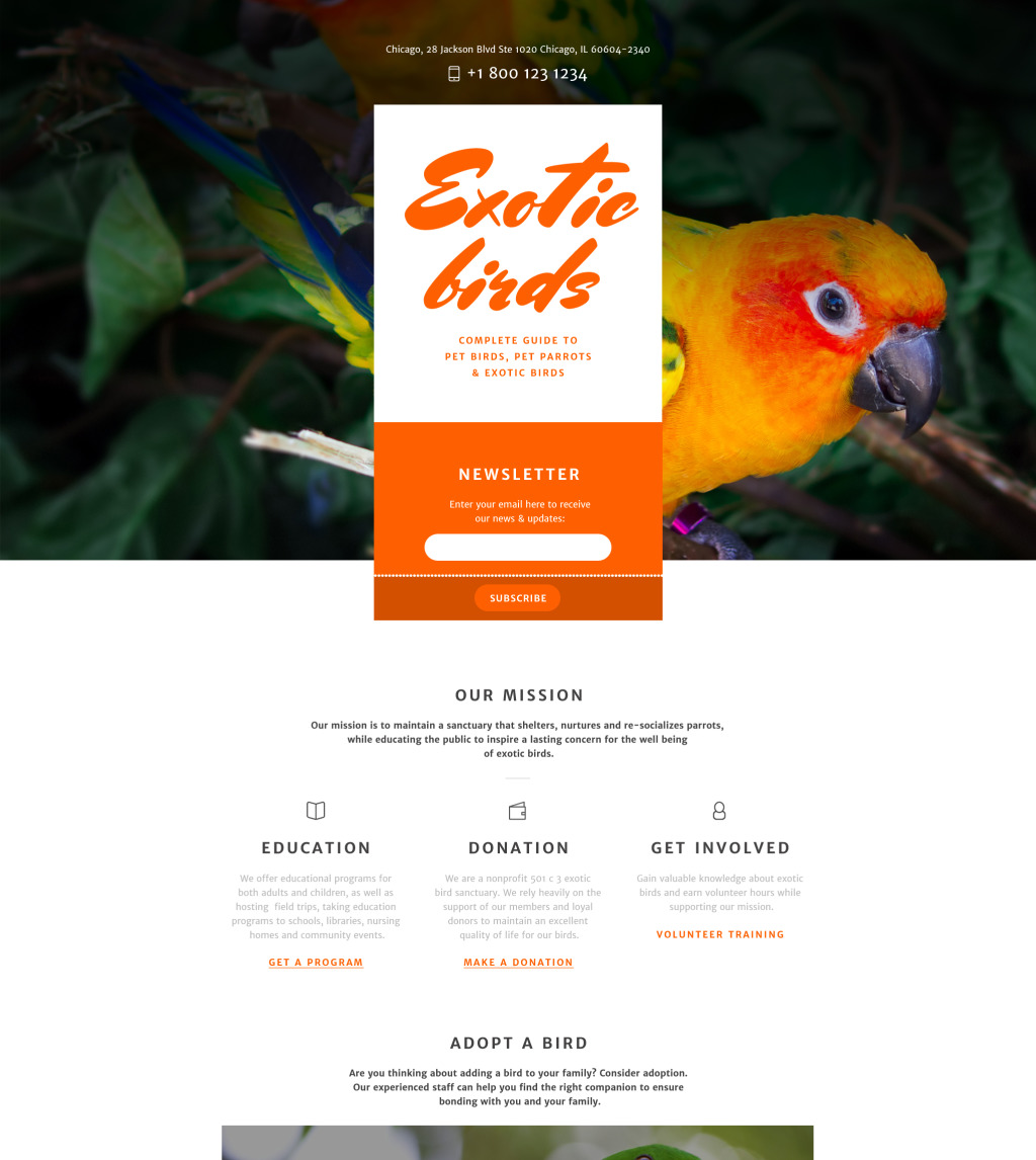 Birds Responsive Landing Page Template #58015