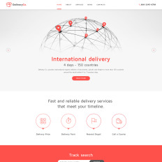 Website Delivery Information Template