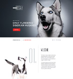 Landing Page Template  #58457