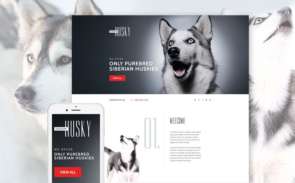 Canine Landing Page Template New Screenshots BIG