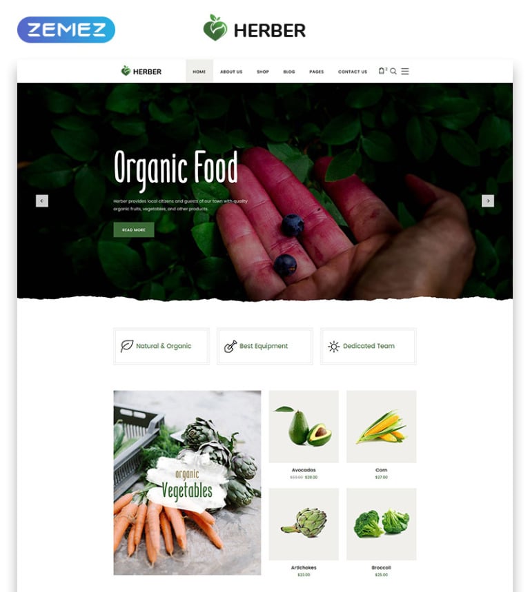  Herber - Accurate Organic Food Online Store Website Template