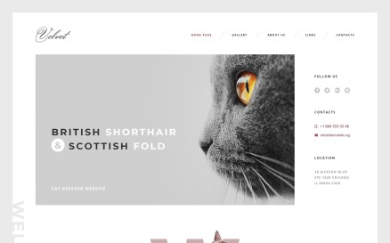 Animals & Pets Website Template