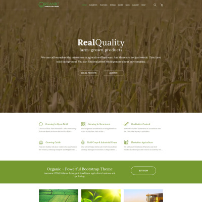 Organic - Agriculture Farm Multipurpose Responsive Website Template #58580